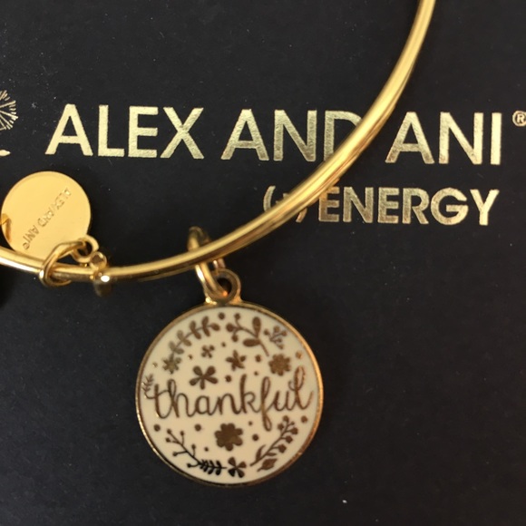 Alex and Ani Thankful Charm Bangle Bracelet - Picture 8 of 9